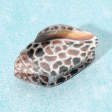 Seashell Claw Clip