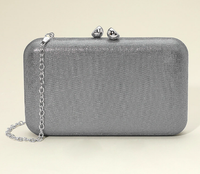 Shimmer Evening Clutch Bag